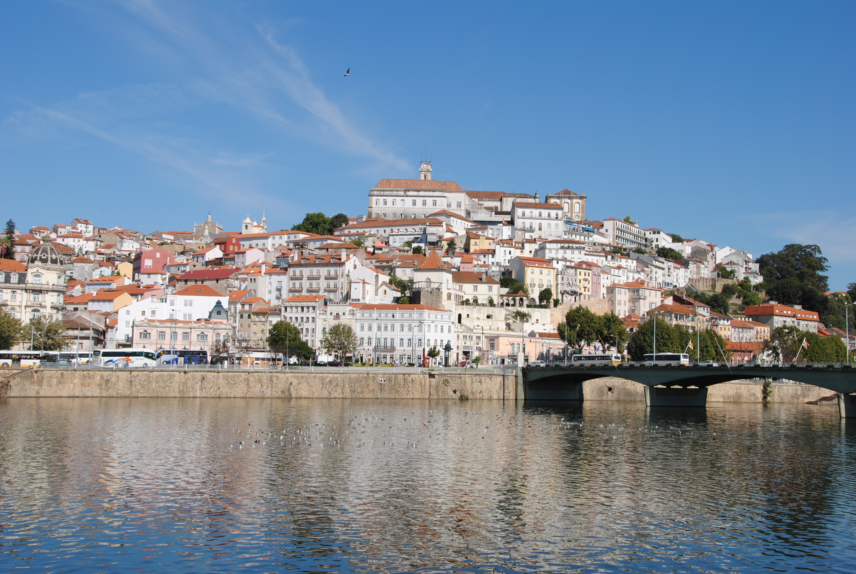 Panoramic view of Coimbra and the Rio Mondego with Alta Universitária and Torre da Universidade (Photograph by Leandro Neumann Ciuffo, CC BY 2.0)